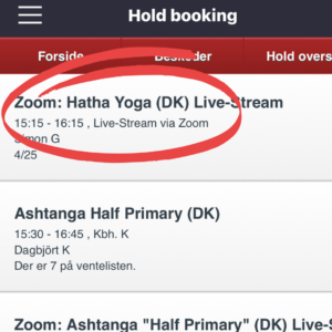 zoom hatha yoga
