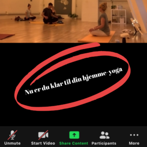 zoom hatha yoga 4